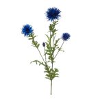 Centaurea ág 100cm - Kék