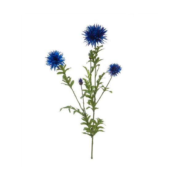 Centaurea ág 100cm - Kék