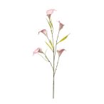 Kála ág x5 85cm - Rózsaszín
