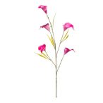 Kála ág x5 85cm - Beauty