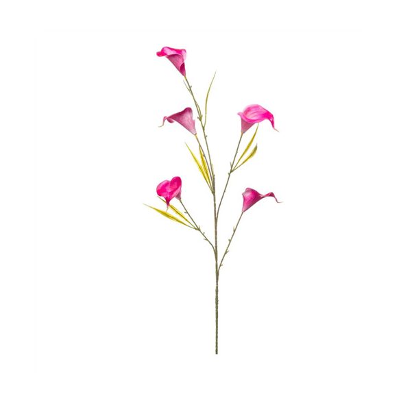 Kála ág x5 85cm - Beauty