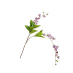 Bauhinia ág 100cm - Sötét lila