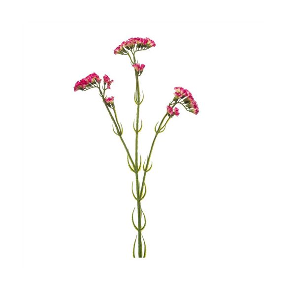 Statice ág 62cm - Beauty