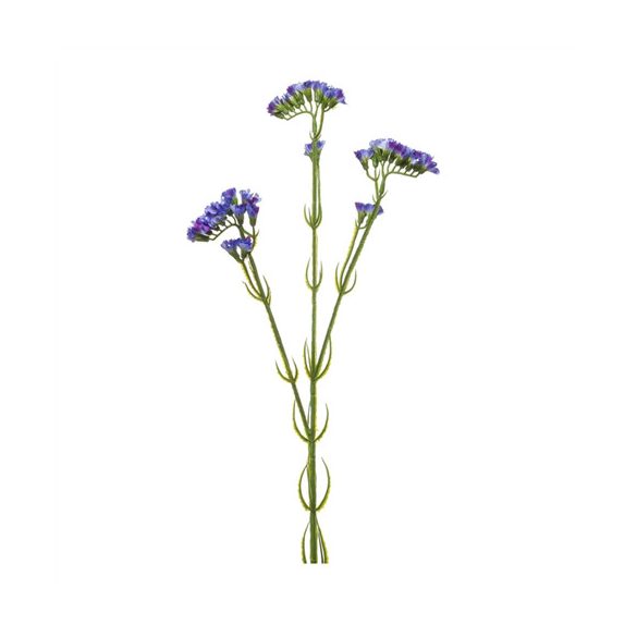 Statice ág 62cm - Kék