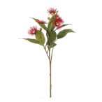 Eucalyptus virág 62cm - Piros