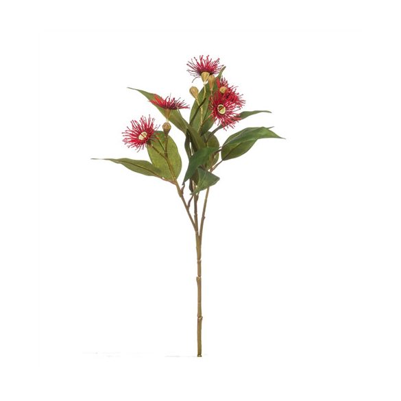 Eucalyptus virág 62cm - Piros