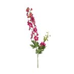 Delphinium spray 77cm - Beauty