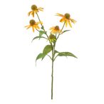 Rudbeckia ág 73cm - Sárga