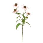 Rudbeckia ág 73cm - Világos rózsaszín