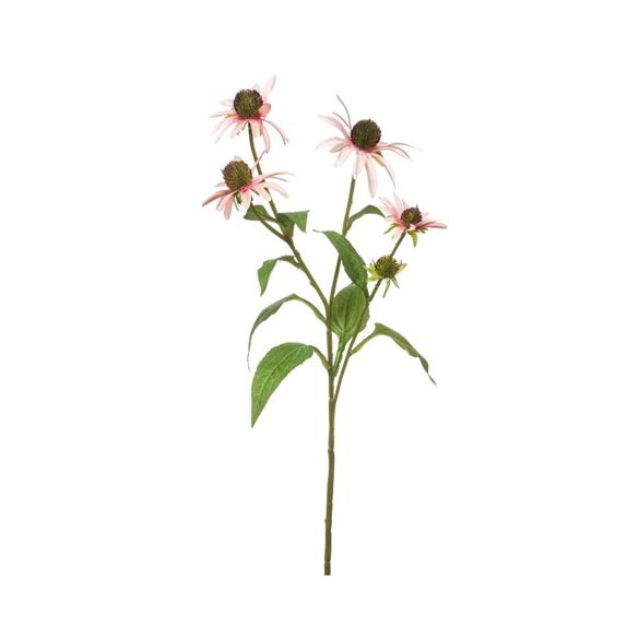 Rudbeckia ág 73cm - Világos rózsaszín