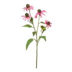 Rudbeckia ág 73cm - Rózsaszín