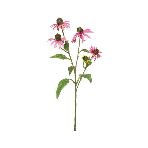 Rudbeckia ág 73cm - Rózsaszín