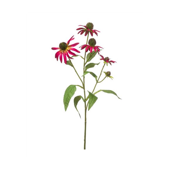 Rudbeckia ág 73cm - Beauty