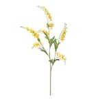 Crocosmia ág 75cm - Sárga