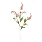 Crocosmia ág 75cm - Lila