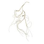 Twig vine 120cm - Barna