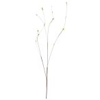 Twig spray with lvs 130cm