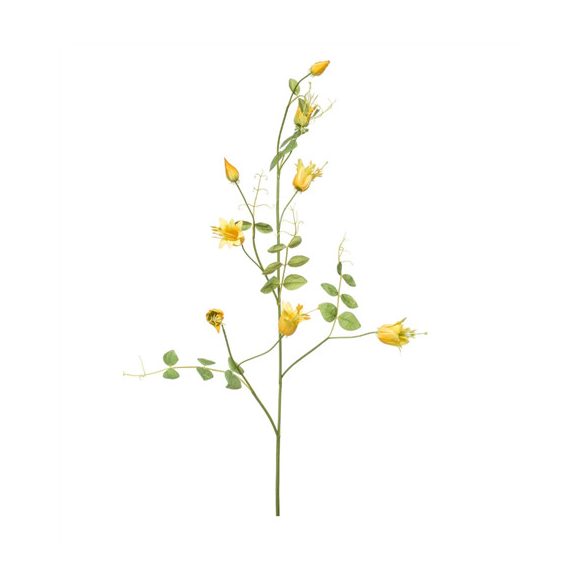 Clematis ág 115cm - Sárga