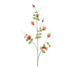 Clematis ág 115cm - Narancs