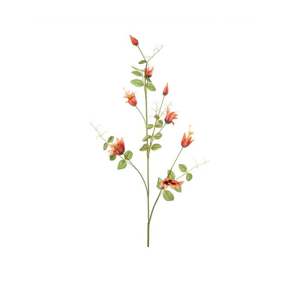 Clematis ág 115cm - Narancs