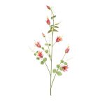 Clematis ág 115cm - Rózsaszín