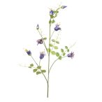 Clematis ág 115cm - Kék