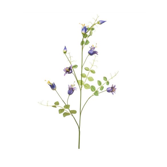 Clematis ág 115cm - Kék