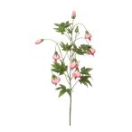 Abutilon ág 100cm - Rózsaszín