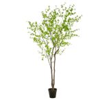 Tropaeolum tree 300cm - Zöld (műanyag cserépben)