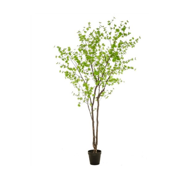 Tropaeolum tree 300cm - Zöld (műanyag cserépben)