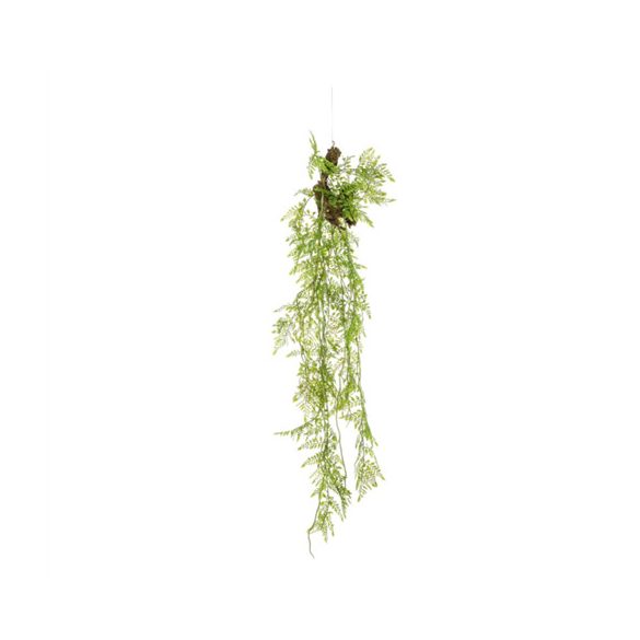 Fern Hanging fa rönkön 110 cm