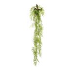 Fern Hanging fa rönkön 150 cm