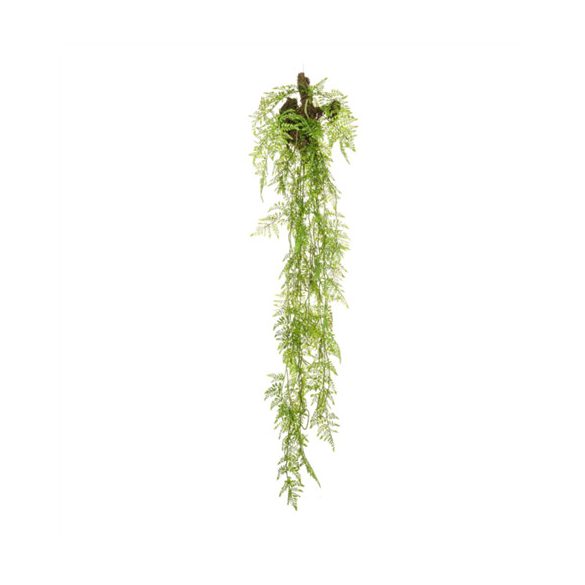 Fern Hanging fa rönkön 150 cm