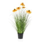 Rudbeckia grass 60cm - Narancs (műanyag cserépben)