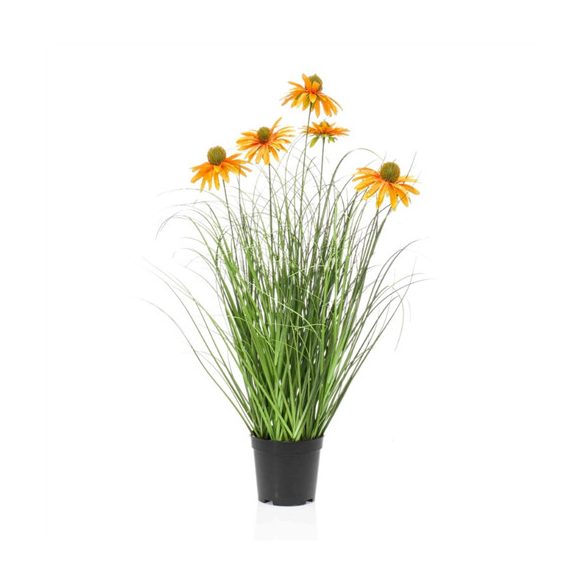 Rudbeckia grass 60cm - Narancs (műanyag cserépben)