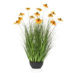 Rudbeckia grass 90cm - Narancs (műanyag cserépben)