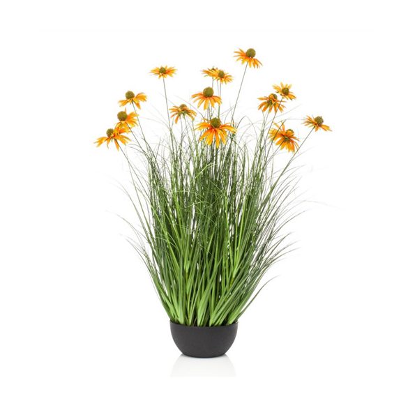 Rudbeckia grass 90cm - Narancs (műanyag cserépben)