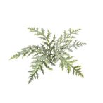 Forest fern bush x9 50cm
