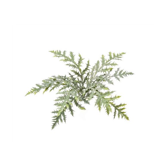 Forest fern bush x9 50cm