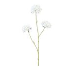 Scabiosa spray x3 80cm - Fehér