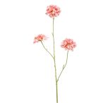 Scabiosa spray x3 80cm - Rózsaszín