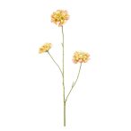 Scabiosa spray x3 80cm - Sárga