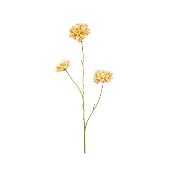Scabiosa spray x3 80cm - Sárga