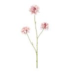 Scabiosa spray x3 80cm - Lila