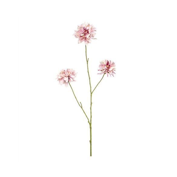 Scabiosa spray x3 80cm - Lila