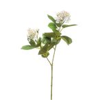 Kalmia spray x2 69cm - Világos kék