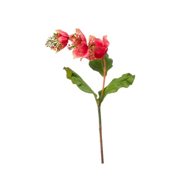 Medinilla ág 110cm - Koral