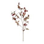 Tradescantia ág x5 90cm - Burgundy