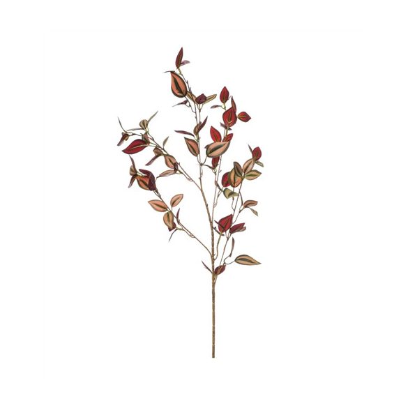 Tradescantia ág x5 90cm - Burgundy
