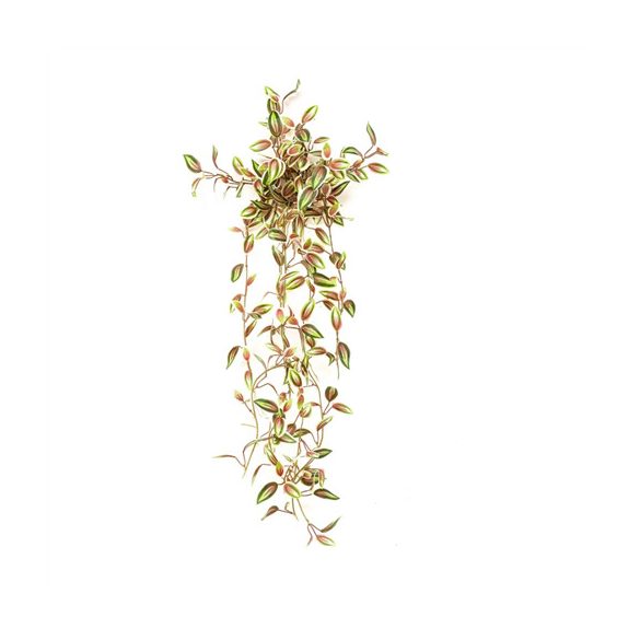 Tradescantia bokor 70 cm - Zöld/piros